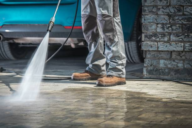 Best Driveway Cleaning and Restoration in Conroe, TX